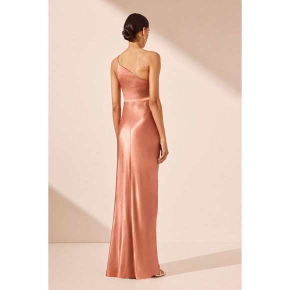 Shona Joy La Lune Asymmetrical Gathered Maxi Dress Antique Rose Size 4 NWT - Picture 4 of 15